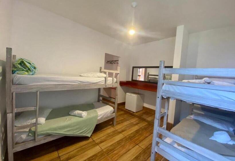 اتاق خانوادگی, Pousada Papaya Container