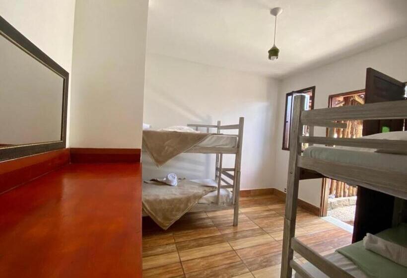 اتاق خانوادگی, Pousada Papaya Container