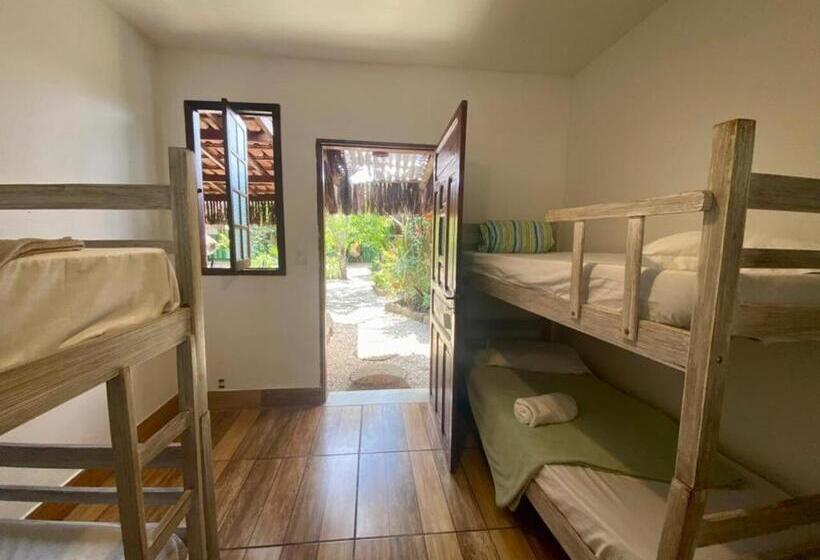 اتاق خانوادگی, Pousada Papaya Container