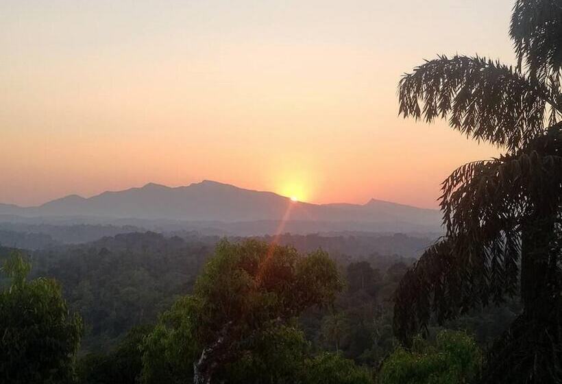 חדר סטנדרט, קומת קרקע, Forestdale Coorg