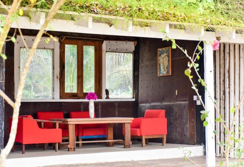 , Mermaid Beach Resort