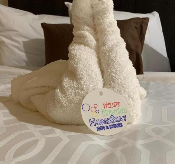 غرفة ديلوكس سرير كينج, Homestay Inn & Suites Edinburg