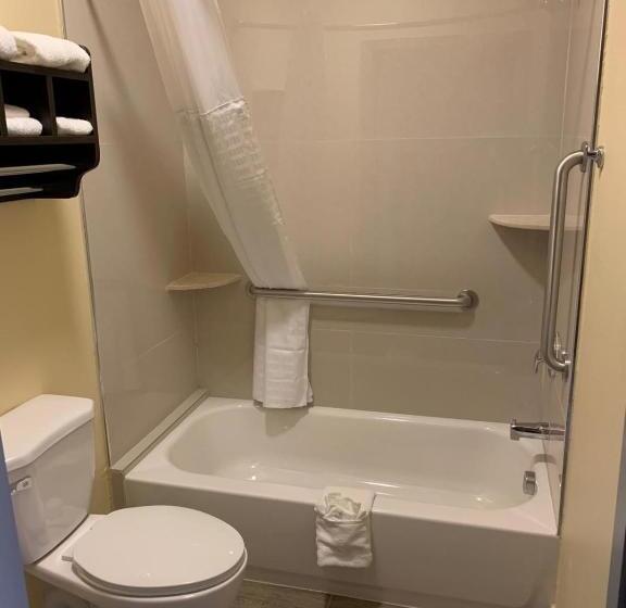 إستوديو ديلوكس, Homestay Inn & Suites Edinburg