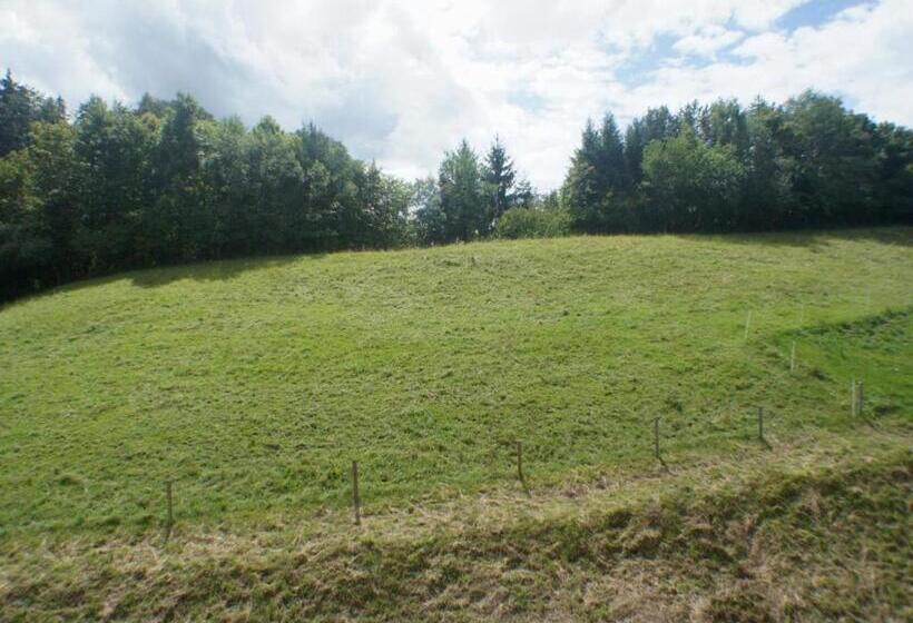 Апартаменты 1 Спальня с Балконом, Villa Am Park