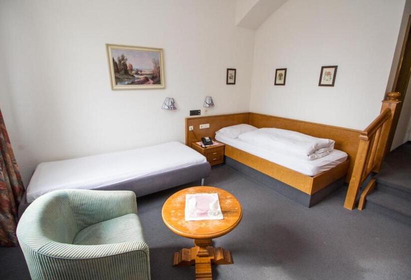 Номер Стандарт, Villa Am Park