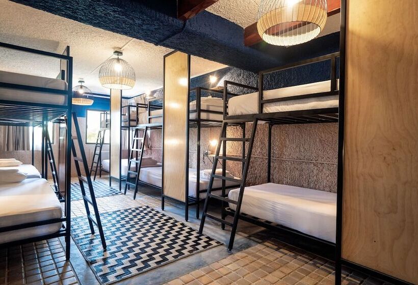 Кровать в Общей Комнате, Selina Cancun Laguna  Zone Hotelera