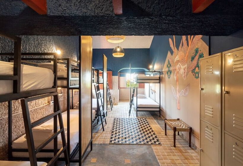 Кровать в Общей Комнате, Selina Cancun Laguna  Zone Hotelera