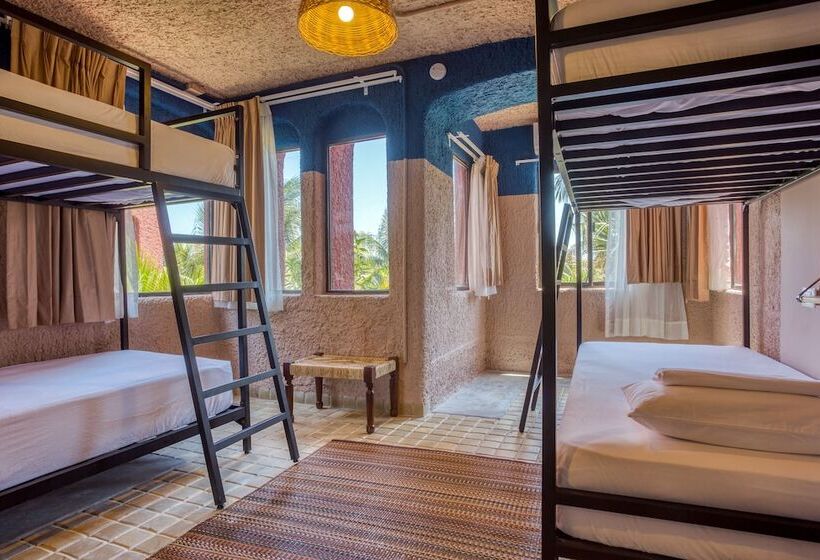 Кровать в Общей Комнате, Selina Cancun Laguna  Zone Hotelera