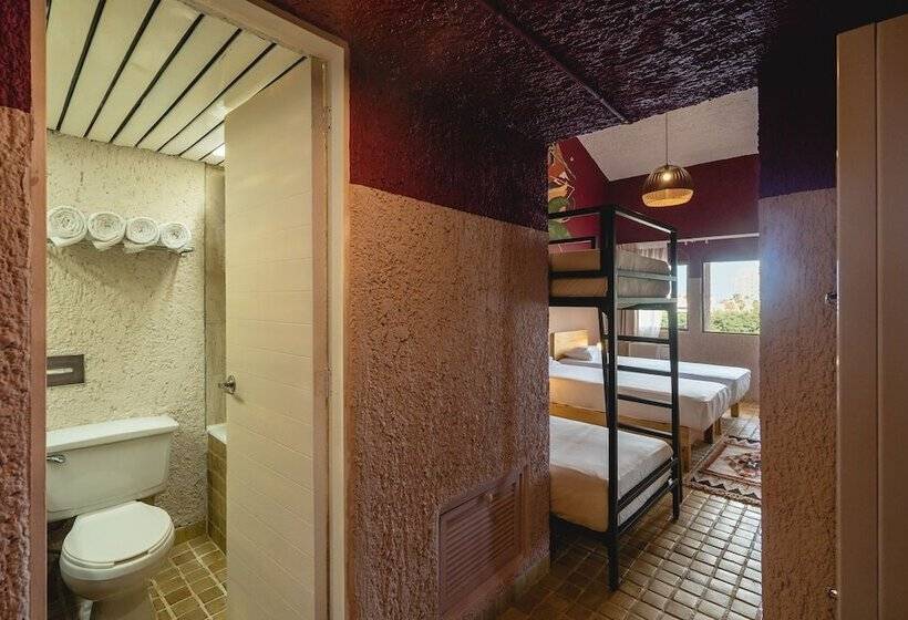 Кровать в Общей Комнате, Selina Cancun Laguna  Zone Hotelera