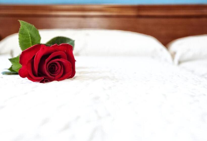 스탠다드 룸, Eladia