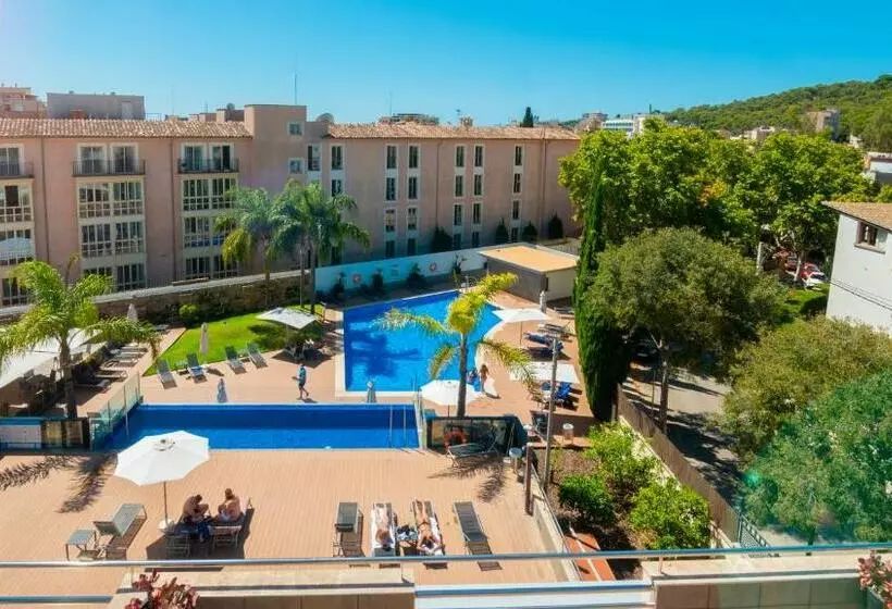 اتاق پرمیوم, Isla Mallorca & Spa
