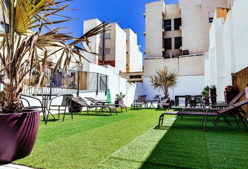 اتاق استاندارد یک نفره, Madrid