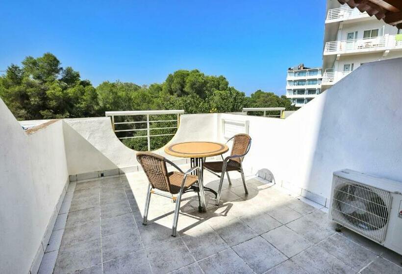 ファミリールーム, Manaus