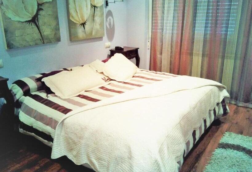 اتاق سوپریور, San Antonio