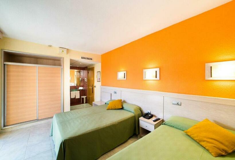 标准间, Servigroup Calypso