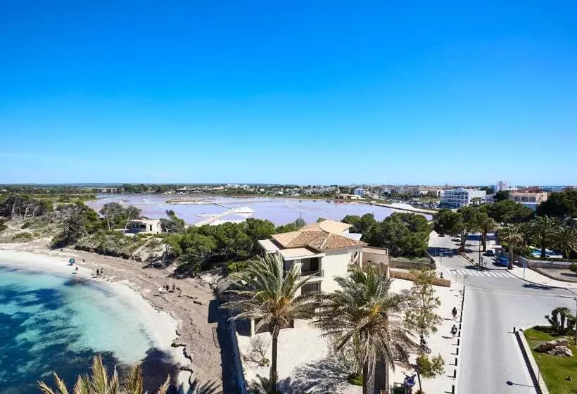 اتاق استاندارد, Universal Hotel Marqués