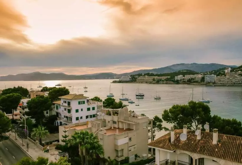 اتاق استاندارد با چشمانداز دریا, Bahia Del Sol