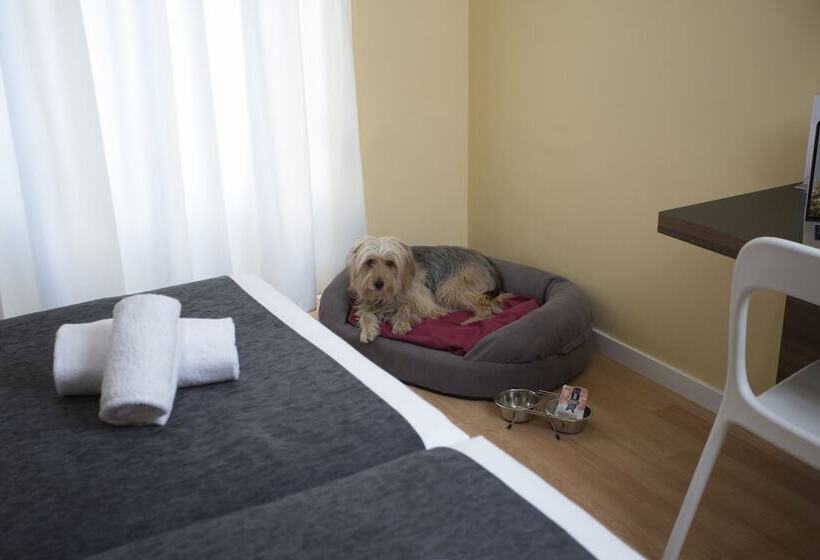 غرفة أساسية, Casual Del Cine Valencia