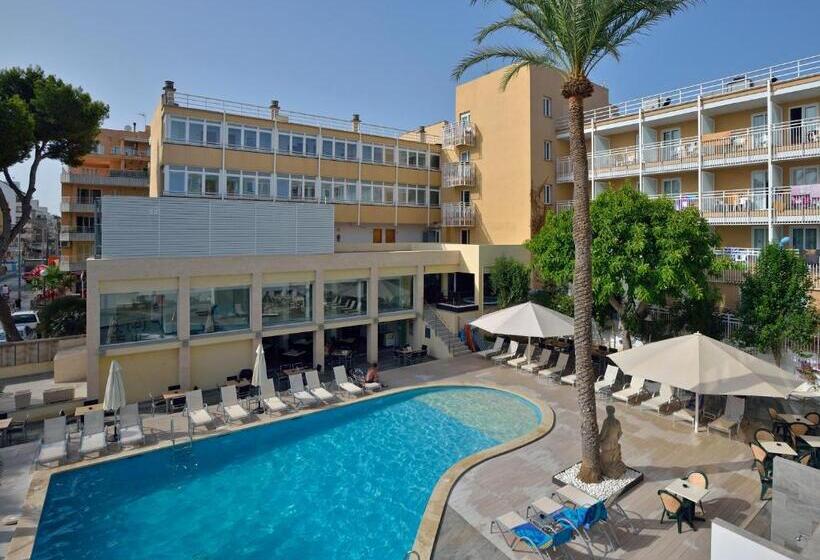 스탠다드 싱글 룸, Hispania