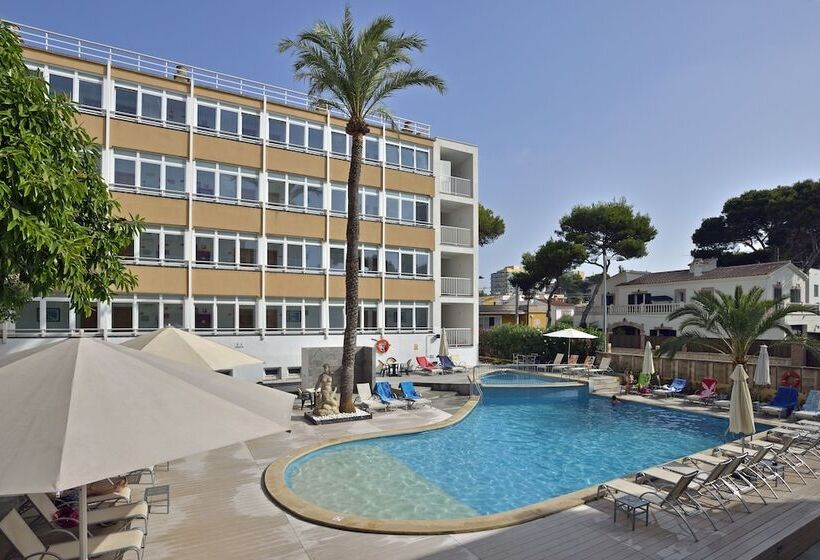 스탠다드 싱글 룸, Hispania