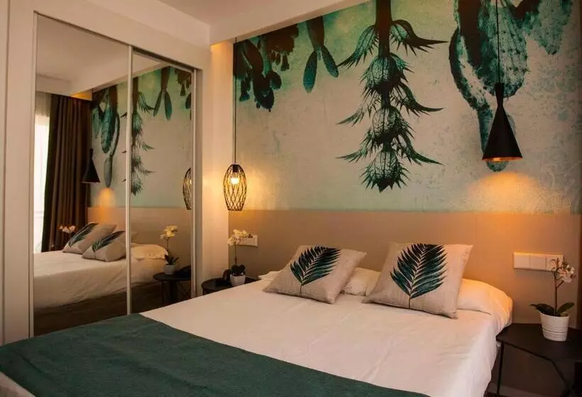 Habitación Estàndard Individual, Tora