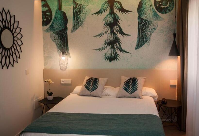 スタンダードシングルルーム, Tora