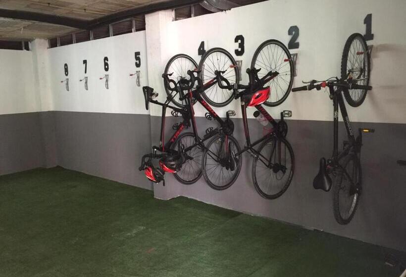 スタンダードルーム, Tora