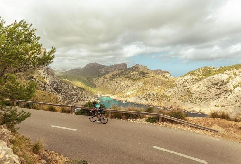 スタンダードルーム, Tora