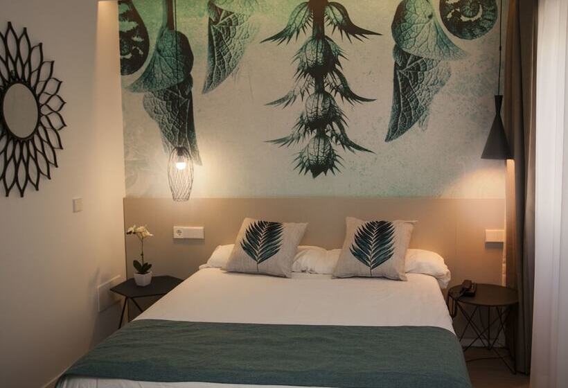 スタンダードルーム, Tora