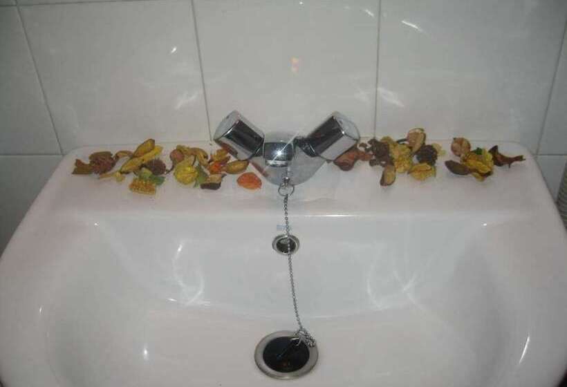 اتاق استاندارد, Colegiata