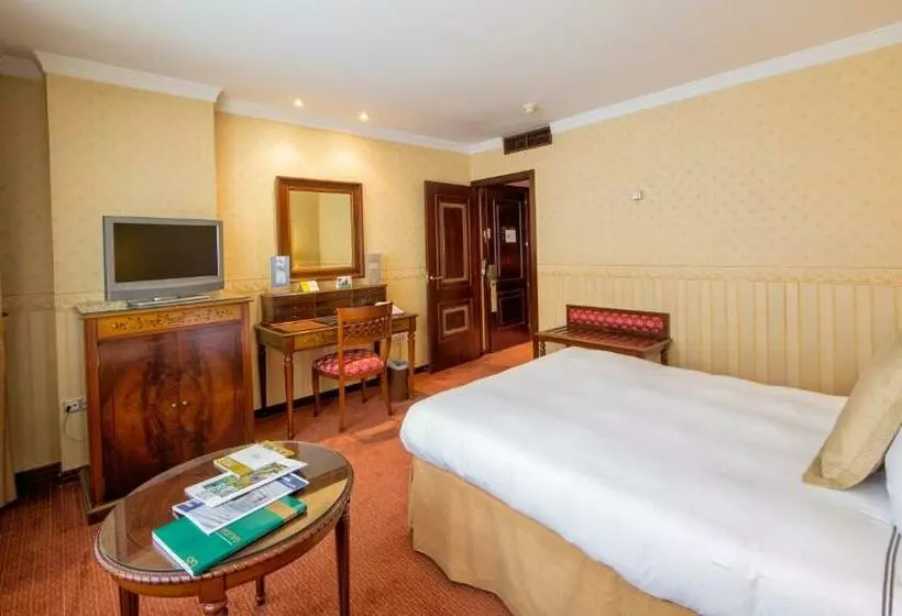 اتاق استاندارد یک نفره, Eurostars Araguaney