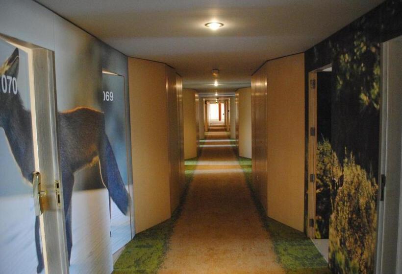 スタンダードルーム, Gran Hotel Del Coto