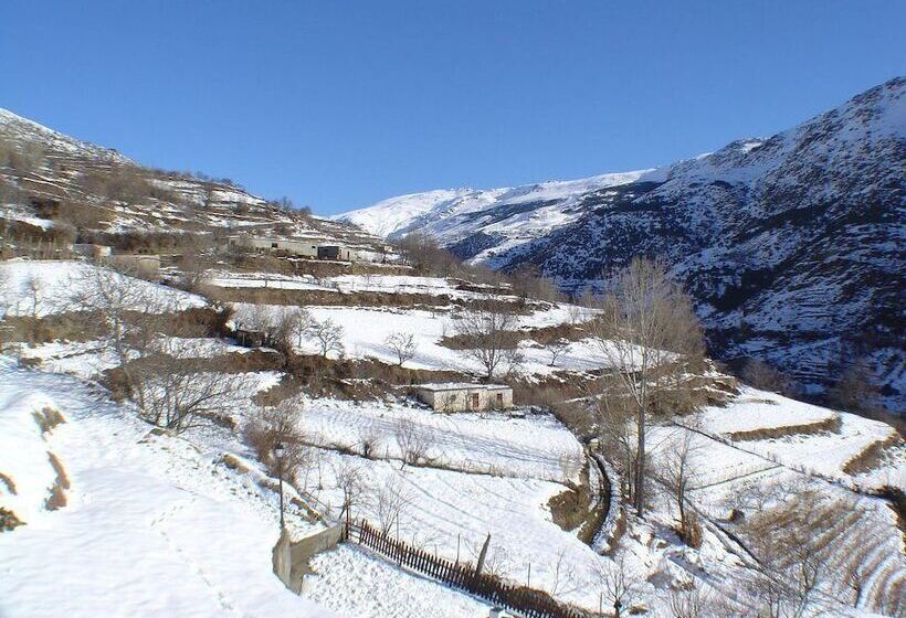 غرفة قياسية فردية, La Fragua I