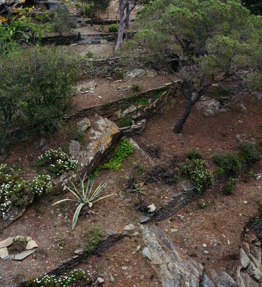 חדר סטנדרט נוף להרים, Llane Petit