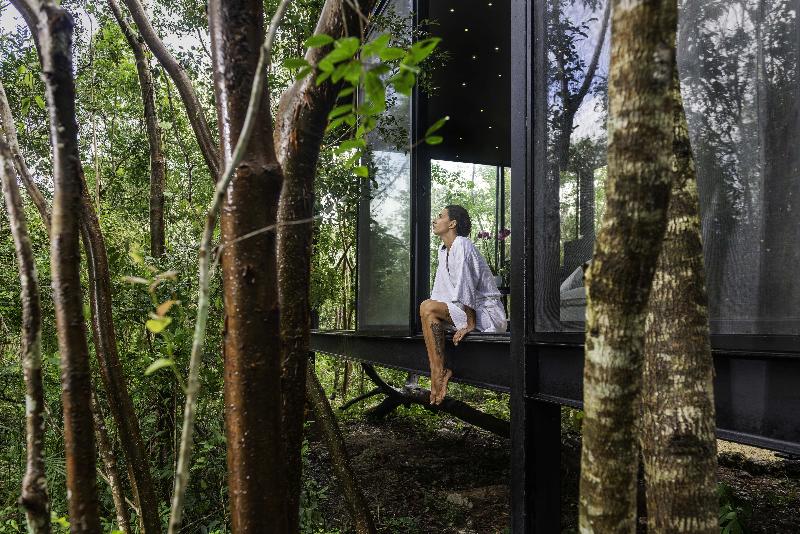 스탠다드 룸, Pato Rojo