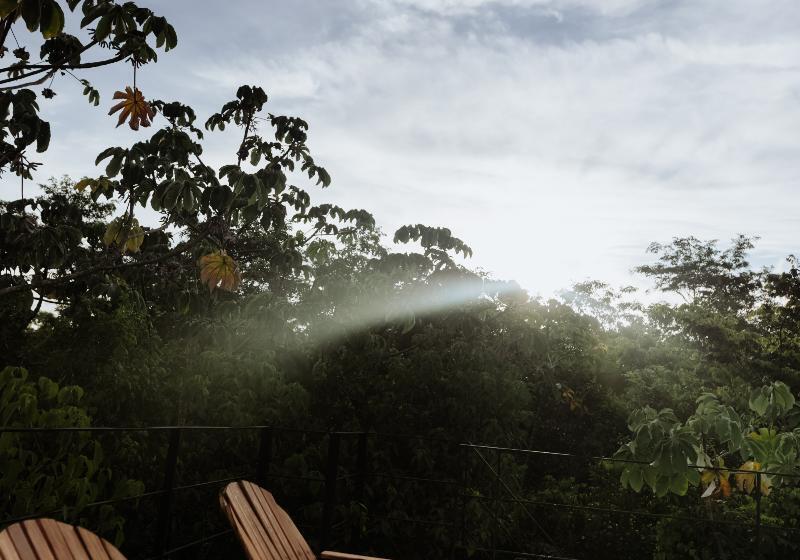 스탠다드 룸, Pato Rojo