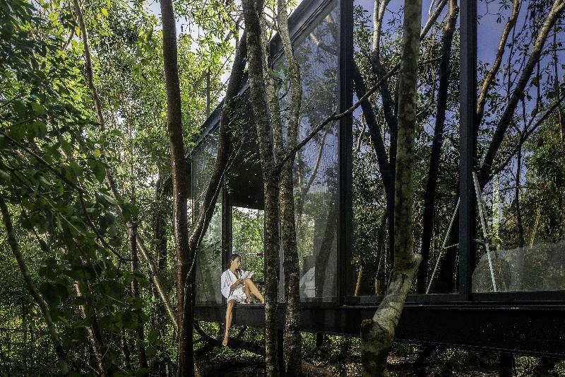 스탠다드 룸, Pato Rojo