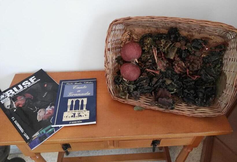 Номер Стандарт Трехместный, Lanjaron