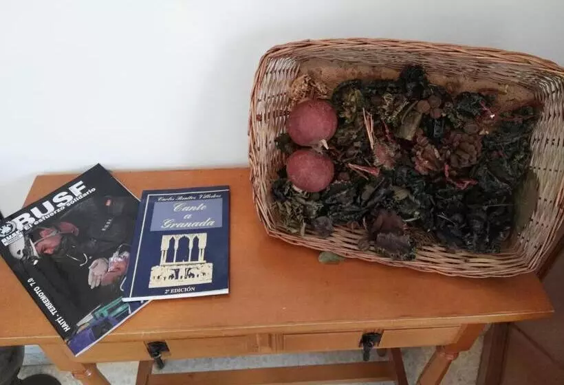 Pokój Standard Trzyosobowy, Lanjaron