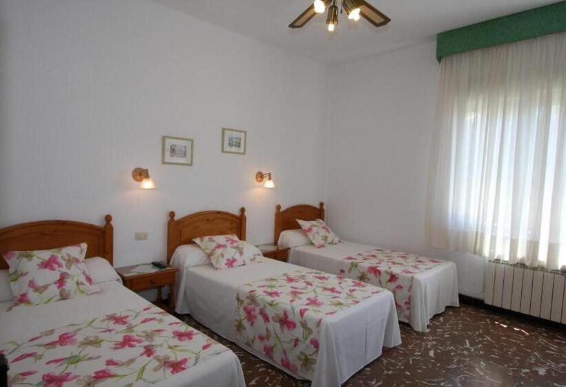 스탠다드 트리플 룸, Sol