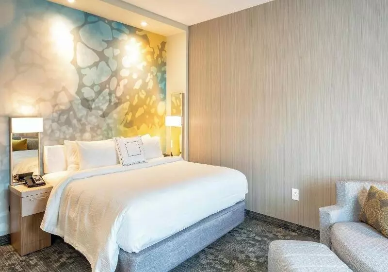 اتاق استاندارد, Canopy by Hilton Madrid Castellana