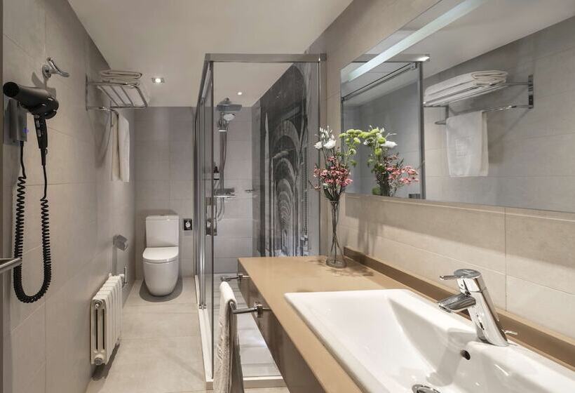 标准单人间, NH Madrid Zurbano