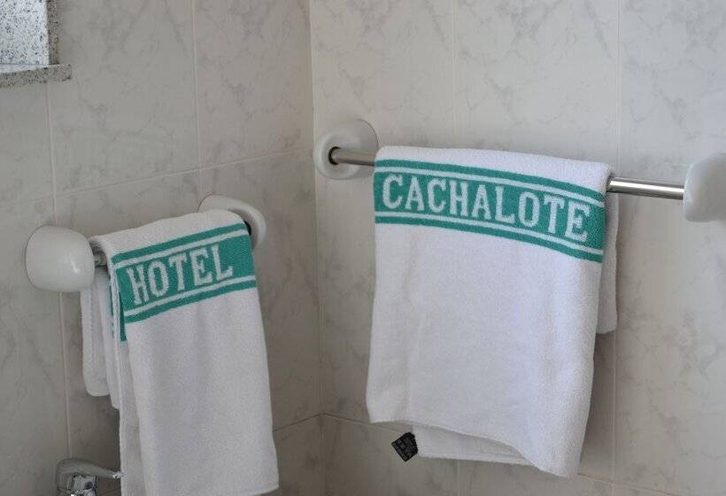 اتاق استاندارد, Nuevo Cachalote