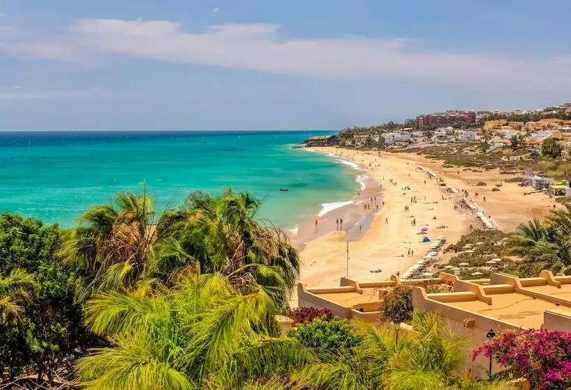 اتاق استاندارد با چشم‌انداز دریا, Sbh Taro Beach