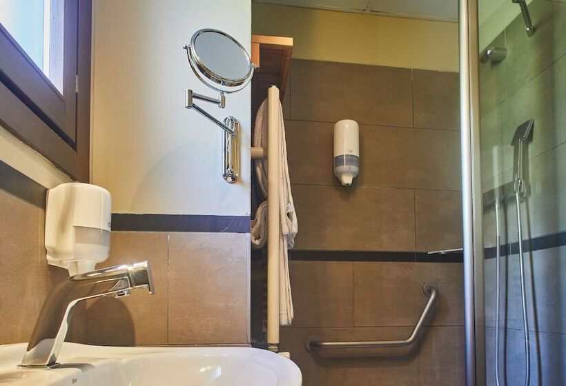 غرفة قياسية مزوَّدة بتراس, Silken Ordesa