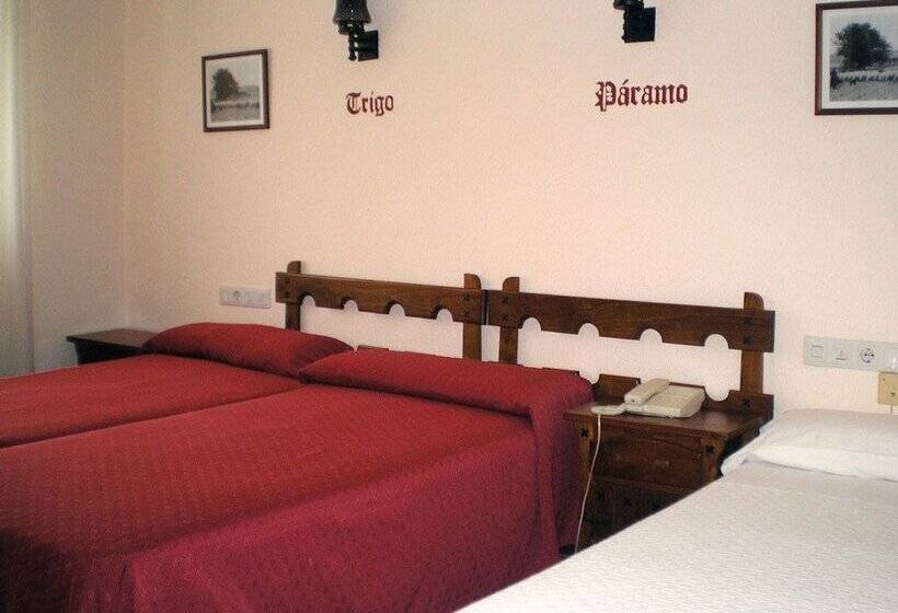 스탠다드 싱글 룸, Tierra De Campos