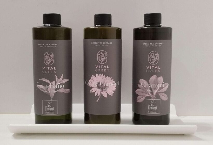 スタンダードルーム, Best Semiramis