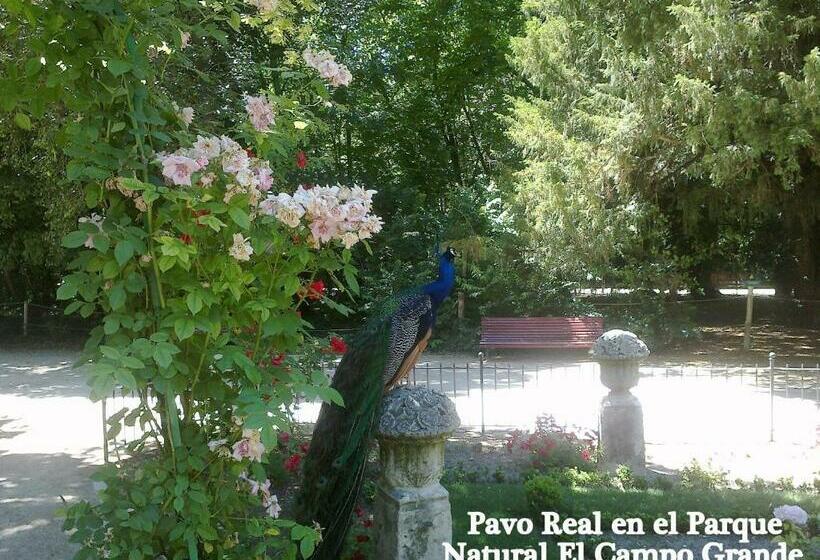 غرفة سوبيريور مطلة على المدينة, Colon Plaza