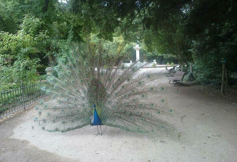 غرفة سوبيريور مطلة على المدينة, Colon Plaza