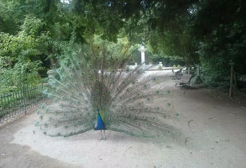اتاق سوپریور با چشم‌انداز شهر, Colon Plaza